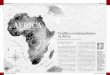 Conflitos contemporâneos na África - unespciencia.com.br · e das questões envolvidas, ... sobre Conflitos Internacionais (GEPCI) e do Observatório ... interesses políticos,