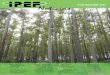Nº 214 - Março/Abril - 2012 - Portal Atividade Ruralatividaderural.com.br/artigos/511150d57cfbf.pdf · grama Cooperativo de Melhoramento Florestal (PCMF), a reunião contou com