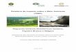Relatório de Impacto sobre o Meio Ambiente (RIMA) - Rio Pardo …riopardovivo.org/EIA-RIMA-Santana-Niagra-Figueira/RIMA... · 2018-08-15 · 1.3 O que é uma Pequena Central Hidrelétrica?