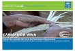 CARNAÚBA VIVA - Equator Initiative · A Carnaúba Viva atua no “Bioma Caatinga” no Nordeste do Brasil, nos Estado do Rio Grande do Norte e Ceará. A base do projeto é a árvore