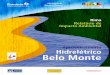 Hidrelétrico Belo Monte - philip.inpa.gov.brphilip.inpa.gov.br/publ_livres/Dossie/BM/DocsOf/RIMA-09/Rima_AHE... · 6 7 A construção de uma usina hidrelétrica é uma decisão muito
