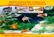 Manutenção natural dos peixes vermelhos de cores e formas num aquário de peixes vermelhos. 6 Variedades especiais de peixes vermelhos Encontrará peixes Cauda-de-Véu das mais variadas