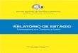 Relatório de Estágio - bdigital.ipg.ptbdigital.ipg.pt/dspace/bitstream/10314/672/1/Mafalda Silva_6000625.pdf · sua empresa, Picos de Aventura, Animação e Lazer, Lda., e ainda
