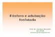 Aula 3-Fósforo e adubação fosfatadaw3.ufsm.br/solos/antigo/PDF/manejo e fertilidade... · 2008-05-13 · 9Fósforo no solo 9Avaliação da disponibilidade de fósforo 9Recomendação