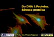 Do DNA à Proteína: Síntese protéicacbsflab.com/wp-content/uploads/2017/03/3.-Síntese-protéica.pdf · Tradução e Código genético Códons DO DNA À PROTEÍNA 64 (43) possíveis