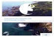 Panorama das soluções soft de protecção costeira · buem para a reconexão de zonas naturais existentes (zonas húmidas, dunas, etc.) e per-mitem melhorar as qualidades ecológicas