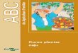Como plantar caju - Principal - Agropedia brasilisainfo.cnptia.embrapa.br/digital/bitstream/item/11865/2/00079120.pdf · Importância do caju ... Uma análise do solo é que revelará