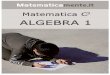 Copyright © Matematicamente.it 2010 · 2016-01-30 ·  ‐ Matematica C3 – Algebra 1 – 1. Numeri 171 Calcola le seguenti somme algebriche fra numeri razionali. a) 1,6 