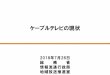 ケーブルテレビの現状 - soumu.go.jp · 2 平成30年3⽉末におけるケーブルテレビの普及状況について、登録に係る⾃主放送を⾏うための有線電気通信設備（501端⼦以