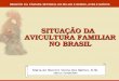 SITUAÇÃO DA AVICULTURA FAMILIAR NO BRASIL - Agência Embrapa de ... · Projeto PETI (Programa de Erradicação do Trabalho Infantil) Secretaria de Ação Social do Governo do Estado