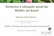 Histórico e situação atual do REDD+ no Brasil - GTPS · REDD+ no Brasil REDD+ Ferramenta para Pecuária Sustentável São Paulo, 10 de Junho de 2015 ... Potencial de geração