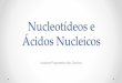 Nucleotídeos e Ácidos Nucleicos - Sistema de Autenticaçãosistemas.eel.usp.br/docentes/.../NucleotideoseAcidosNucleicos(1).pdf · Ácidos Nucleicos Maiara Paparele dos Santos 