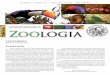 SOCIEDADE BRASILEIRA DE Zoo logiasbzoologia.org.br/uploads/1461610025-112.pdf · sobre o XXXI Congresso Brasileiro de Zoologia e novas contri- ... para o estudo dos vertebrados. Foi