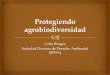 Carla Bengoa Sociedad Peruana de Derecho Ambiental (SPDA) · (SPDA) El Convenio sobre la Diversidad Biológica fue la primera norma ambiental en proteger la “biodiversidad” de