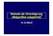 Maladie de Hirschsprung (Mégacôlon congénital) · Introduction • Dilatation colique en amont d’une anomalie congénitale des plexus nerveux intra muraux de l’intestin terminal