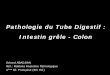 Pathologie du Tube Digestif : Intestin grêle - Colonepathologies.com/acad/Robbins_pdf/05_Digestif_03_Intestins.pdf · Pathologie du Tube Digestif : Intestin grêle - Colon Gérard