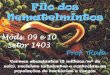 Filo dos Nematelmintos - Colégio Nomelini Cirandinha · Vermes abundantes (3 milhões/m2 de solo), reciclam nutrientes e controlam as populações de bactérias e fungos Filo dos