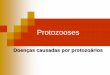 Doenças causadas por protozoários - Colégio Objetivo | Juazeiro … · 2016-02-15 · Doenças causadas por protozoários Agente etiológico: ... sinal de Chagas de inoculação,