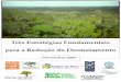 3 estrategias (2) - katoombagroup.org 6... · Instituto do Homem e Meio Ambiente ... também conjunturas do mercado: as mudanças nas taxas de ... O atual Código Florestal Brasileiro