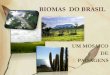 BIOMAS DO BRASIL - files. do...Principais Biomas Os biomas diferem quanto à fisionomia, estrutura,