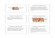 Sistema Tegumentar Técnicas Avançadas - SOGABsogab.com.br/drenagemtecava.pdf · desprenderam das paredes dos vasos e provocaram a formação de eczema varicoso, que tem aspecto