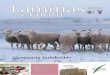 5/2010 vuohi - lammasyhdistys.filammasyhdistys.fi/wp-content/uploads/2016/03/LV_5_2010.pdf · eläinten tuotanto-olosuhteisiin li-han alkuperämaassa ei aseteta tällä hetkellä