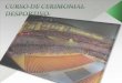 Cerimonial é a linguagem mais - CNCP Brasil · 2011-10-11 · Cerimonial é a linguagem mais ... Dispõe sobre o Regulamento de Continências, Honras, ... Aprova o Cerimonial da