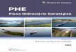 Plano Hidroviário Estratégico - Portal da Estratégiaportaldaestrategia.transportes.gov.br/images/MENU-Transportes/... · conjunto com a equipe de Planejamento de Transportes do