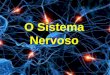 O Sistema Nervoso - colegiodomus.com.br · Tálamo –Recebe mensagem dos órgãos dos sentidos e as transmite para o cérebro. Hipotálamo –Controla a temperatura do corpo, o batimento