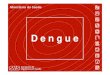 Ações e métodos de combate à epidemia de dengue no ... · Avaliação Independente do PNC da Dengue 2. Manual para Enfermagem, adulto e criança 3. Novos Manuais de Capacitação