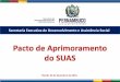 Secretaria Executiva de Desenvolvimento e Assistência Socialportalsocial.sedsdh.pe.gov.br/sigas/suasrh/arquivos/2013/modulo01/... · O Pacto de Aprimoramento do SUAS compreende: