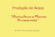 Produção de Rosas - Universidade de São Paulo | Escola ... · vírus e outras pragas); ... Nutrição Mineral em Roseiras . FEC - Flores em Casa . FEC ... Retirada das folhas/espinhos