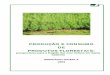 PRODUÇÃO E CONSUMO DE PRODUTOS FLORESTAIS · perspectivas para a Região Sul com ênfase em Santa Catarina BRDE/AGFLO/GEPLA 2003. ... 6.4 - Programa Florestal Catarinense _____