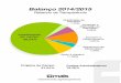 Relatório de Transparência - maisnomundo.org · Relatório de Transparência Projetos de Campo 81,54% Custos Administrativos 18.46% Investimento em campo 68,54% Apoio à obreiros