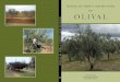 Manual da Safra - bibliotecadigital.ipb.pt · A alternância, também designada de safra e contra-safra, é um problema comum a várias fruteiras de onde se destacam a oliveira, a