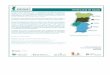Perfil Local de Saúde - ARS Alentejo · Pode aceder aos restantes Perfis Locais de Saúde em versão interativa, ao ... Aplicação (Excel 2007) Portal da Estatística da Saúde