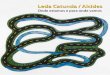 Leda Catunda / Alcides - galeriaestacao.com.br · pre em telas retangulares de tamanho médio, medindo por volta de um metro de altura por um metro e meio de comprimento. Essa escala