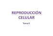 Reproducción celular - EducaMadrid · PPT file · Web viewSe estima que en cualquier momento de la fase S se está copiando entre un 10 y un ... G1 Sub Fase G0 Fase S Fase G2 