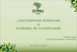 Licenciamento Ambiental e Unidades de Conservaçãolitoralsustentavel.org.br/wp-content/.../Apresentacao...Ambiental.pdf · estudo de impacto ambiental e respectivo relatório de
