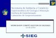Secretaria de Indústria e Comércio - SIEG - Sistema ... · PDF filedo Brasil ao milionésimo 1:50.000 ... Calcário para Corretivo de Solo em Goiás Atualização do Mapa Geológico