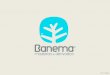 Banema - Madeiras e Derivados, S.A. - Portal da ... · bambu 03-11-2014 benefÍcios balanÇo de carbono neutro - todos os pavimentos em bambu maciÇo moso sÃo certificados com emissÃo