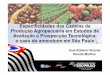 Especificidades das Cadeias de Produção Agropecuária em ... · •Para a pesquisa agropecuária brasileira -em grande medida financiada por recursos públicos -avaliar e identificar