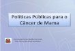 Políticas Públicas para o Câncer de Mama - saude.sp.gov.brsaude.sp.gov.br/resources/cve-centro-de-vigilancia-epidemiologica/... · Fundação Oncocentro do Estado de SP Rede Hebe