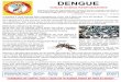 DENGUE - condvvv.com.br · ocorre por picada através do mosquito Aedes Aegypti infectado. Só a fêmea pica o ser humano, pois ela necessita do sangue humano para maturar os ovos