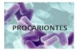 Bactérias e Vírus Aula 3 e 4 - bioifnmg.files.wordpress.com · pelos fungos- penicilina. Antibióticos Uso indiscriminado –automedicação -Seleção de linhagens resistentes