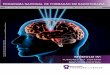 PROGRAMA NACIONAL DE FORMAÇÃO EM RADIOTERAPIA · Tema: Planejamento de um caso de metástases cerebrais múltiplas para VMAT com reforço de dose concomintante e proteção do hipocampo
