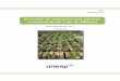 Extração de nutrientes por plantas ornamentais do Vale do ...infograma.com.br/wp-content/uploads/2015/11/boletim.pdf · proprietário da Lincoln Plantas Ornamentais pela doação