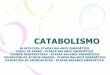 CATABOLISMO - PARAMERA | BLOG DEL PROFESOR DE … · catabolismo glucolisis: etapas balance energÉtico. ciclo de krebs : etapas balance energÉtico. cadena respiratoria : etapas