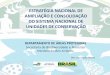 ESTRATÉGIA NACIONAL DE AMPLIAÇÃO E CONSOLIDAÇÃO …©gia12-anos_snuc_completa.pdf · Reposição dos estoques pesqueiros ... - Organização das demandas e Direcionamento da