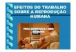 EFEITOS DO TRABALHO SOBRE A REPRODUÇÃO HUMANA  … · efeitos do trabalho sobre a reproduÇÃo humana prof(a): carmem ildes r. f. asmus iesc/fm/ufrj